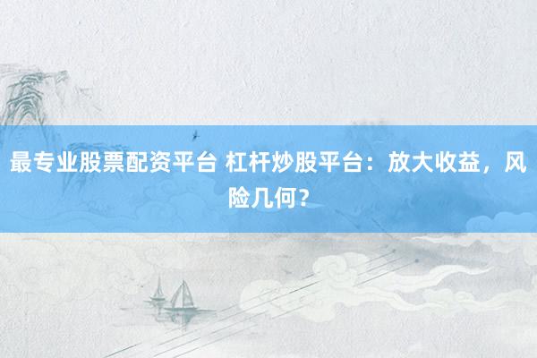 最专业股票配资平台 杠杆炒股平台：放大收益，风险几何？