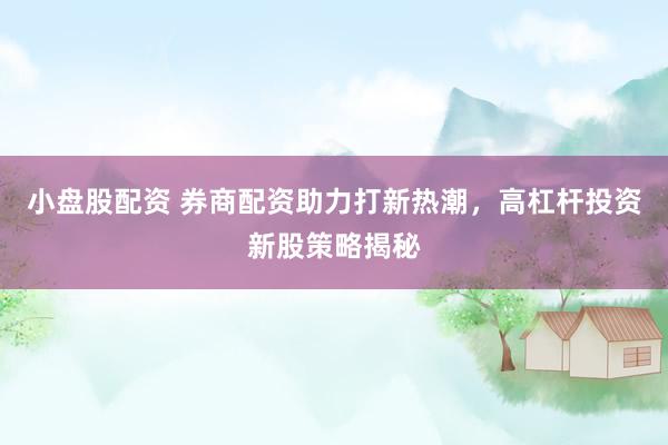小盘股配资 券商配资助力打新热潮，高杠杆投资新股策略揭秘