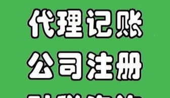 专业代理记账 纳税申报 审计 税务咨询,价格低廉