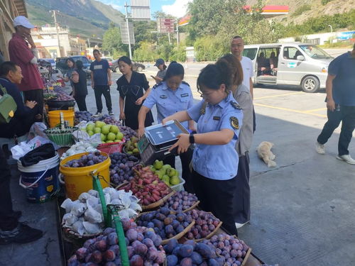 守护 团圆 味道 理县市场监管局开展节前食品安全专项检查